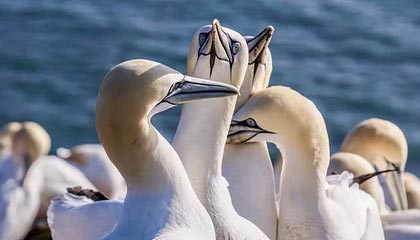 九游9游-英超激烈争夺，豪门战火升腾