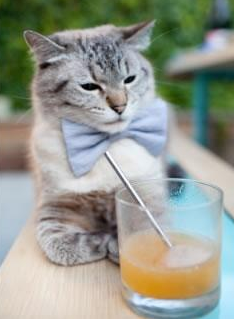 _顶尖选手的训练日常:高强度备战揭秘_,顶尖选手遇难