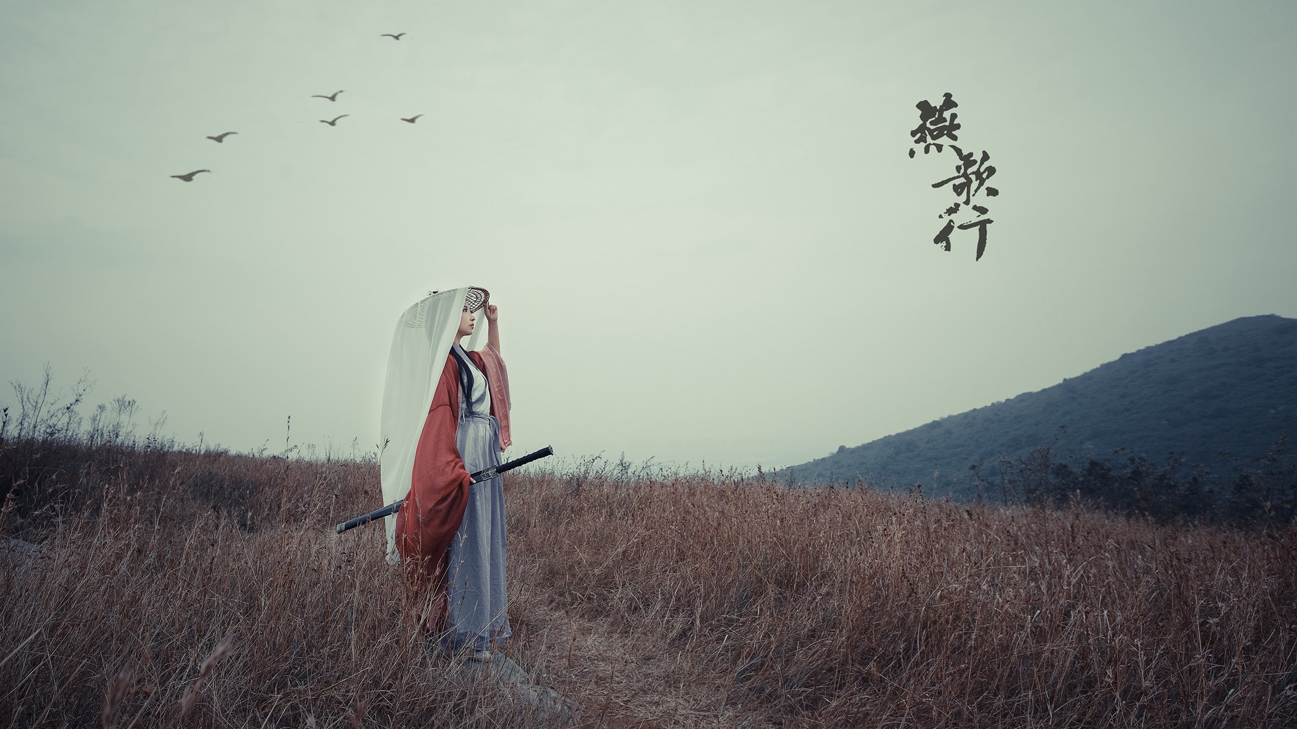 _鹈鹕展现团队合作，稳步前进季后赛候补名单_，鹈鹕队季后赛战绩